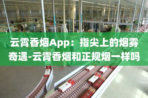 云霄香烟App：指尖上的烟雾奇遇-云霄香烟和正规烟一样吗